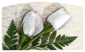 DACRO-060 2 Roses White